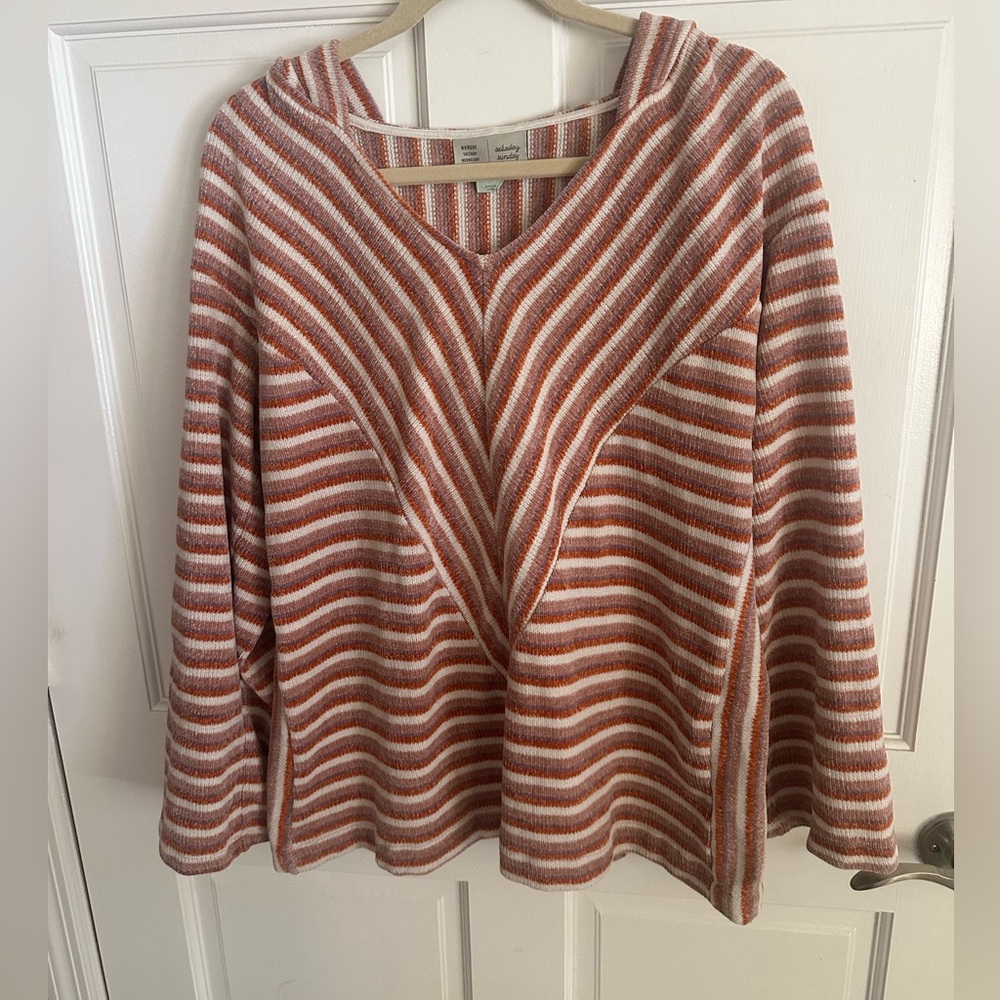 Anthropologie Saturday Sunday chenile hoodie Sweater Medium chest 40 L 27